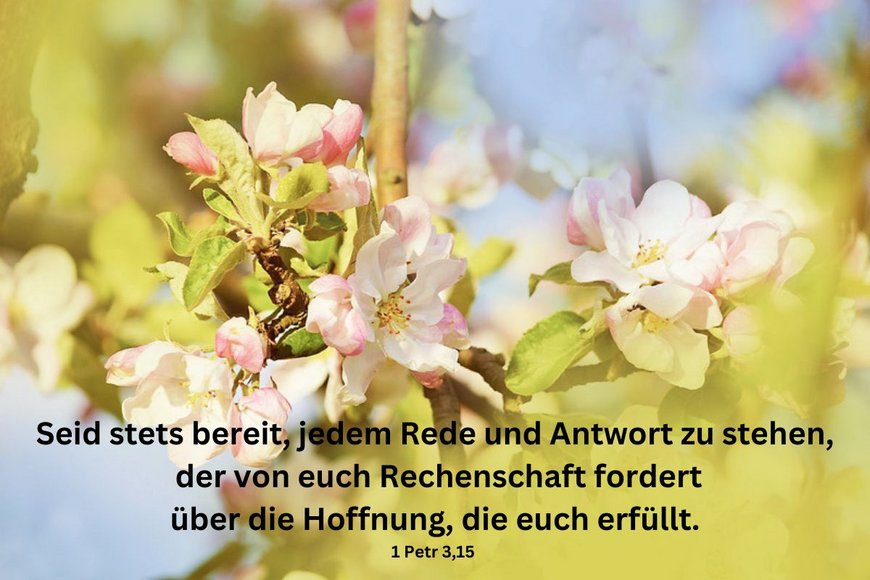 Kirchblüten auf hellgrünem Untergrund - Copyright: N. Schwarz © GemeindebriefDruckerei.de